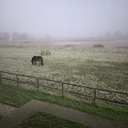 La Bastide Girondine * Saint-Loubès