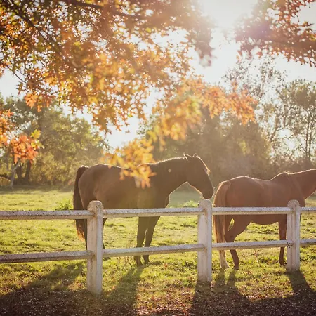 La Bastide Girondine דירה