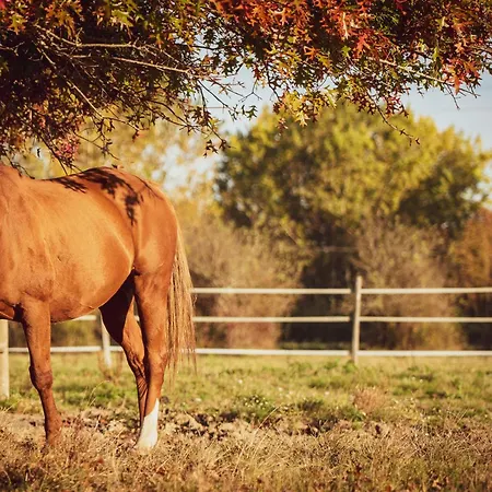 La Bastide Girondine * Saint-Loubès