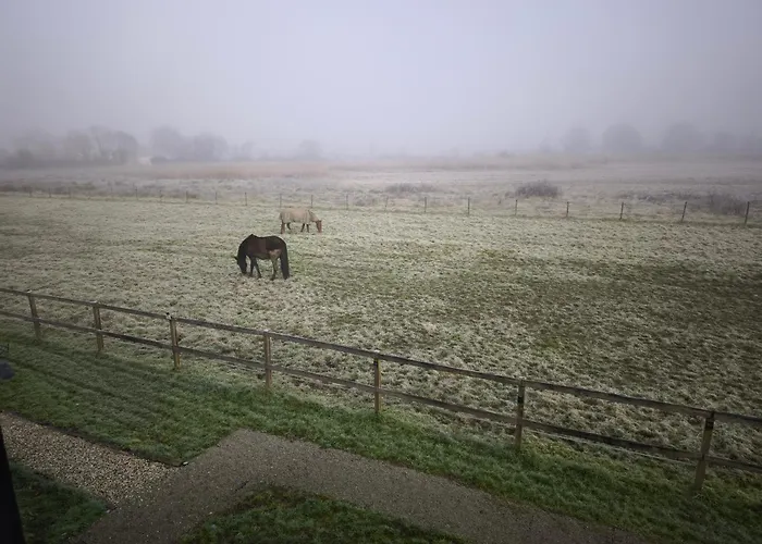 La Bastide Girondine * Saint-Loubès