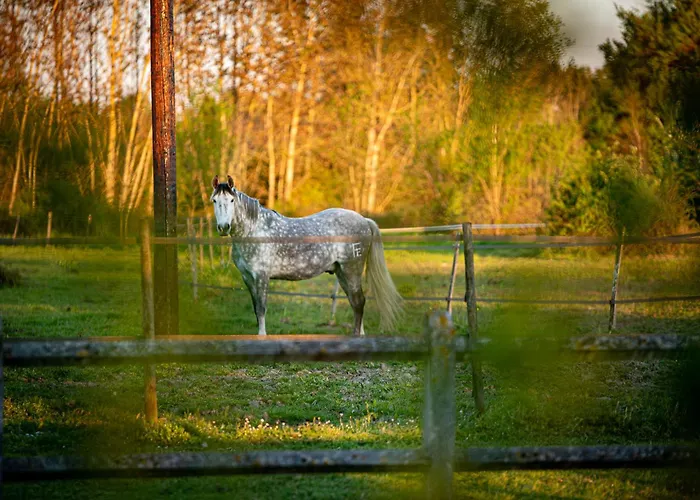 La Bastide Girondine * Saint-Loubès