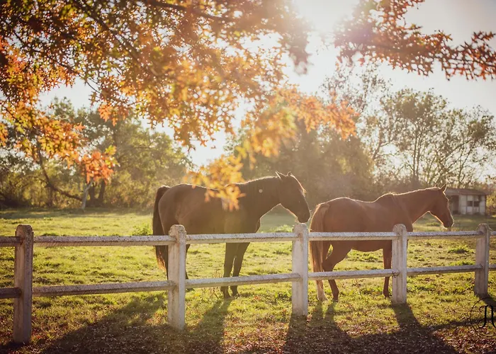 La Bastide Girondine Apartment