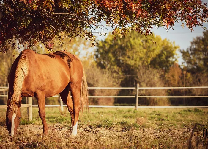La Bastide Girondine * Saint-Loubès